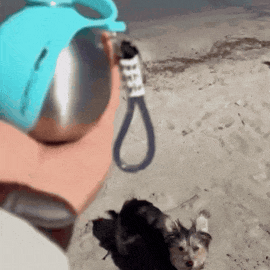Pawpup Dog Water Bottle™