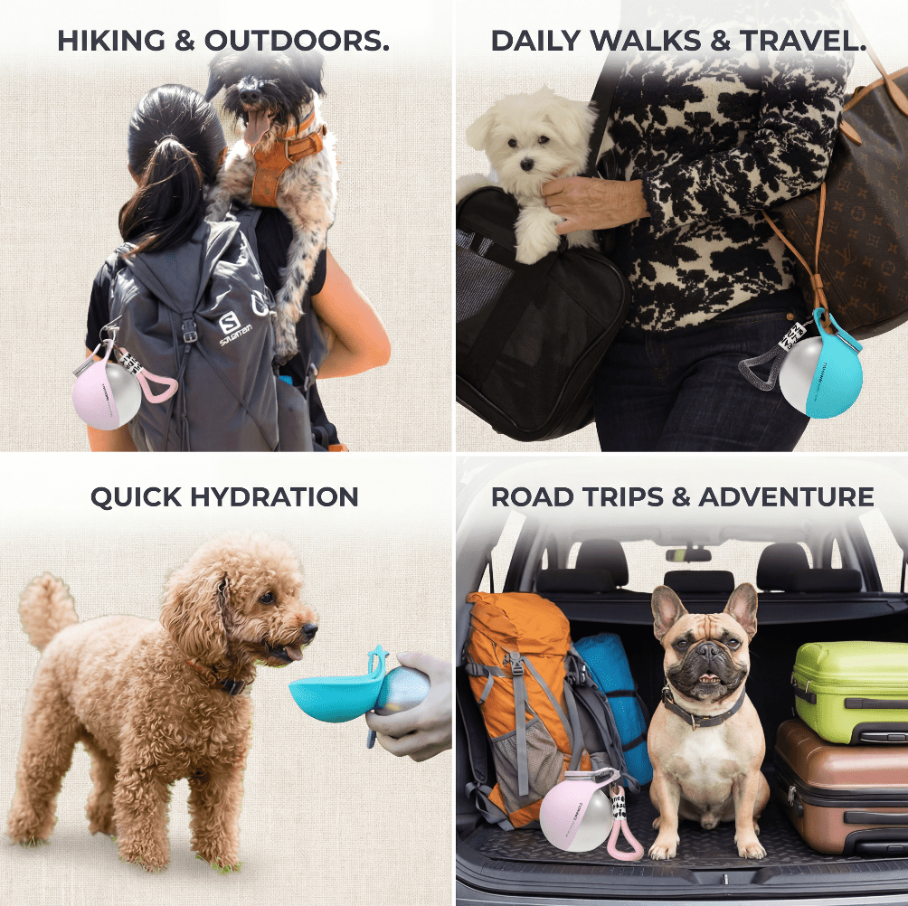 Pawpup Dog Water Bottle™ - Pure Haven Living