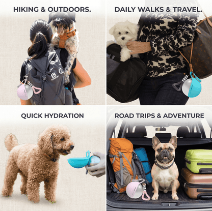 Pawpup Dog Water Bottle™ - Pure Haven Living